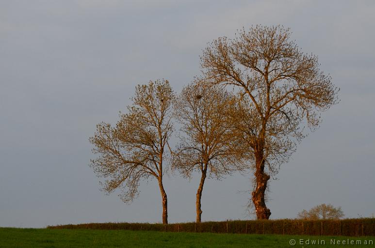 ENE-20130422-0017.jpg - Vareilles (Saône-et-Loire)